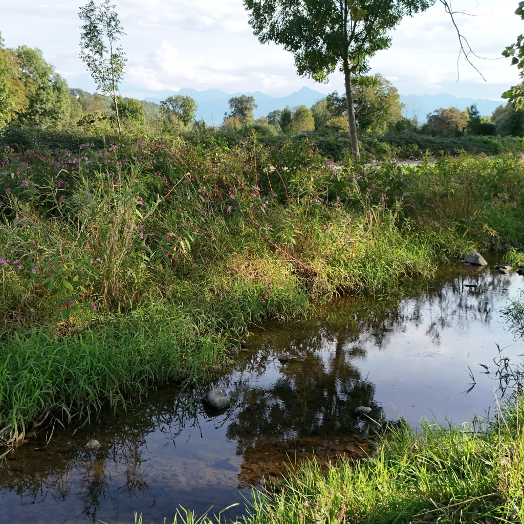 Visite du parcours : l’ombre&nbsp;s’installe